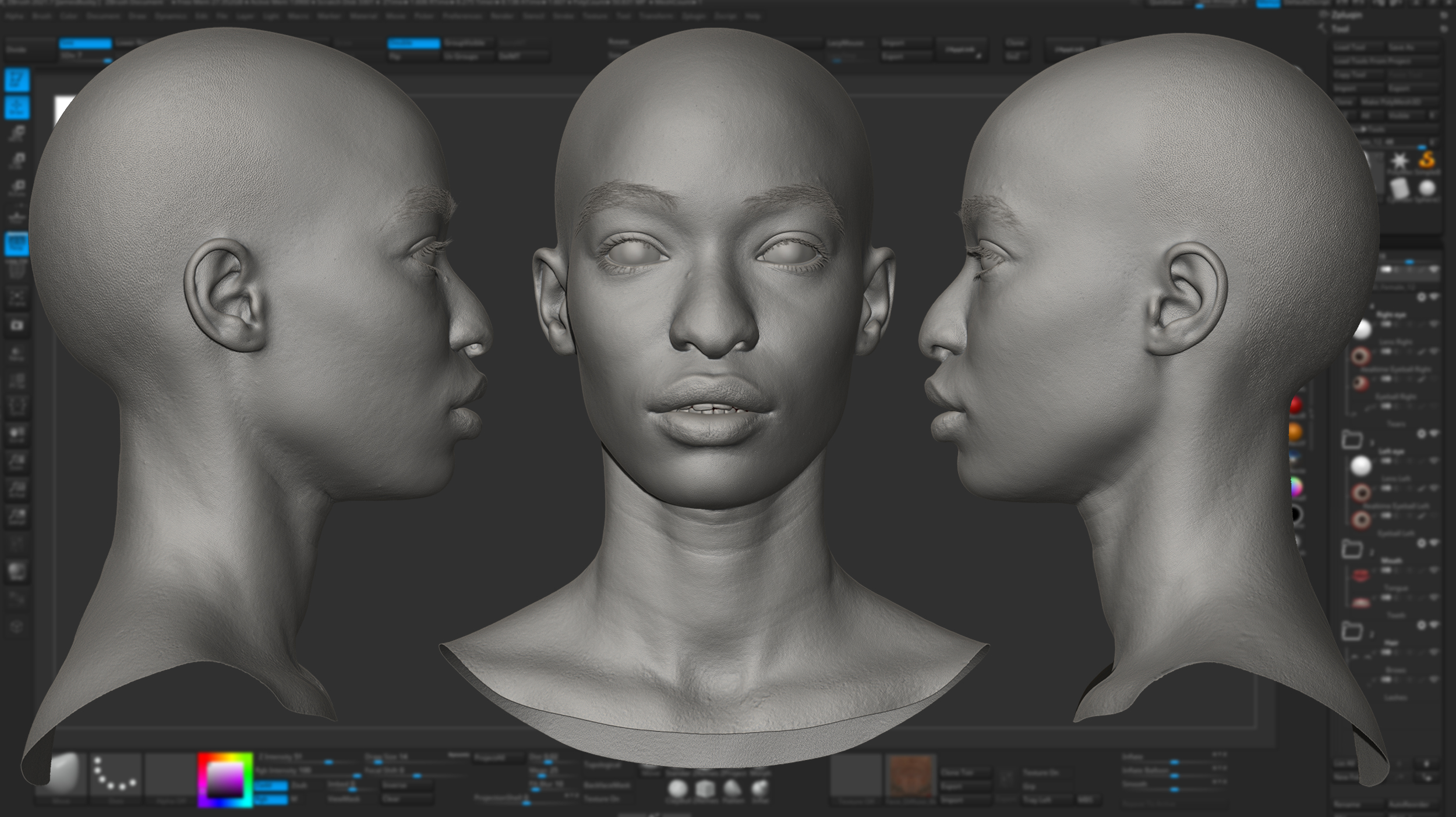 download realistic zbrush head model